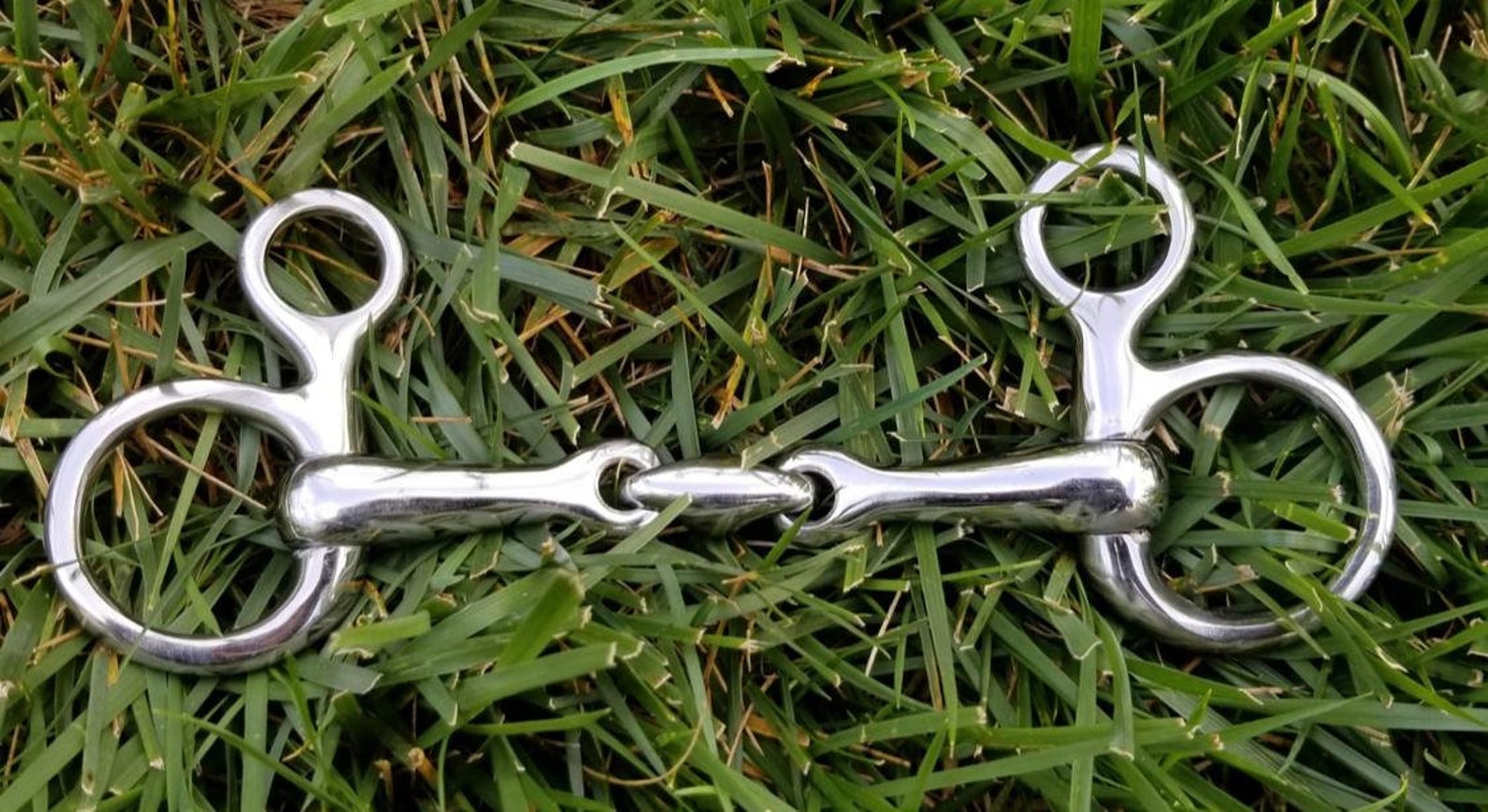 Alitaver Horse Hanging Cheek Snaffle Bit Baucher Lozenge Fat