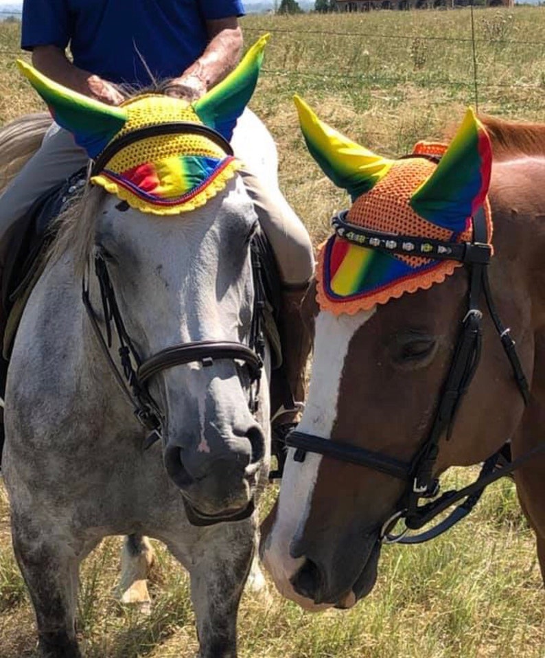 Rainbow Horse Fly Ear Net Fly Veil Hood Hand Made Etsy