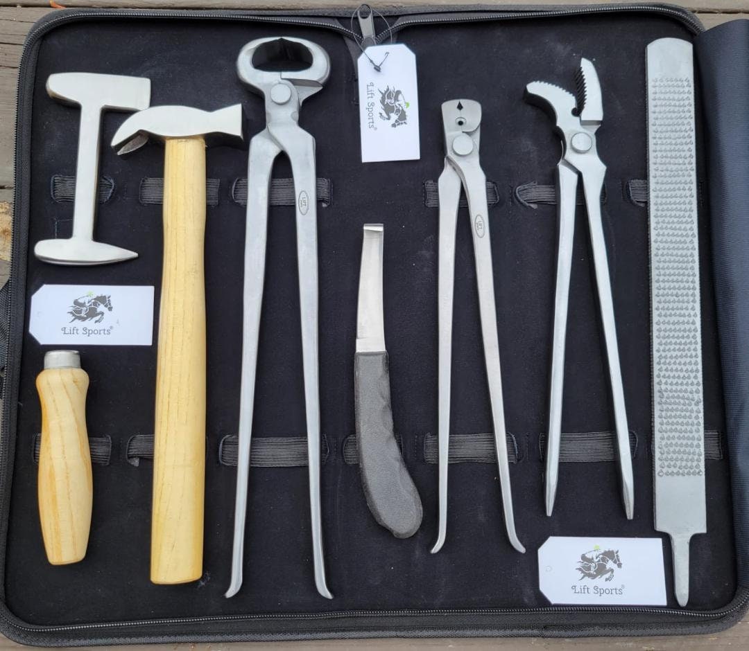 Horse Shoeing Tools to Have on Hand