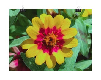 Yellow Zinnia Art Print | Botanical Fine Art (Digital Download)