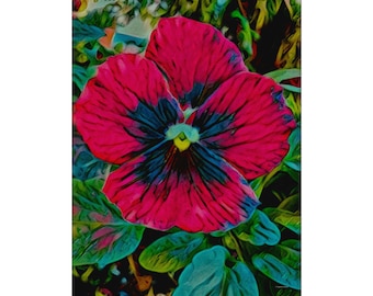 Red Pansy Fine Art Print | Large Format Floral Photography (Digital Download)