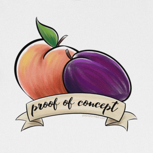 Proof of Concept Tshirt peaches and Plums Queliot the Etsy