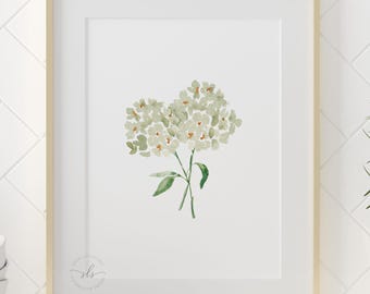 Watercolor white hydrangea fine art print, simple botanical wall art, neutral floral painting, elegant art print, grandmillennial home decor