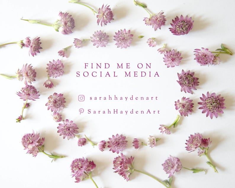 May include: A circular arrangement of pink flowers with green stems on a white backdrop. The text "FIND ME ON SOCIAL MEDIA" is displayed in purple, along with social media handles for Sarah Hayden Art.