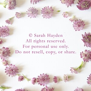May include: A display of pink flowers, each with a star-like form and a darker pink centre, arranged in a circle on a white backdrop. The image includes text: &copy; Sarah Hayden, All rights reserved. For personal use only. Do not resell, copy, or share.