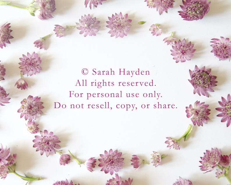 May include: A display of pink flowers, each with a star-like form and a darker pink centre, arranged in a circle on a white backdrop. The image includes text: &copy; Sarah Hayden, All rights reserved. For personal use only. Do not resell, copy, or share.