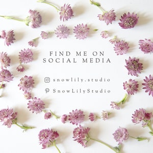 May include: A white background with pink flowers scattered around the text "FIND ME ON SOCIAL MEDIA" with the social media handles "@snowlily.studio" and "@SnowLilyStudio".