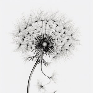 Whispers of Life - Dandelion black and white sketch #4 Digital Print
