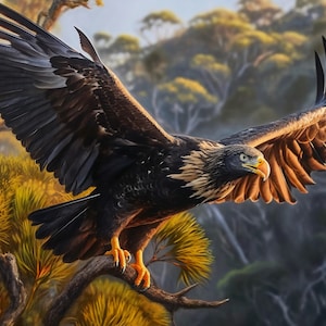 Majestic Wedge Tail eagle soaring #5 Digital Print