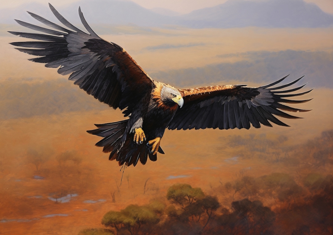Majestic Wedge Tail Eagle Soaring #4 Digital Print - Etsy
