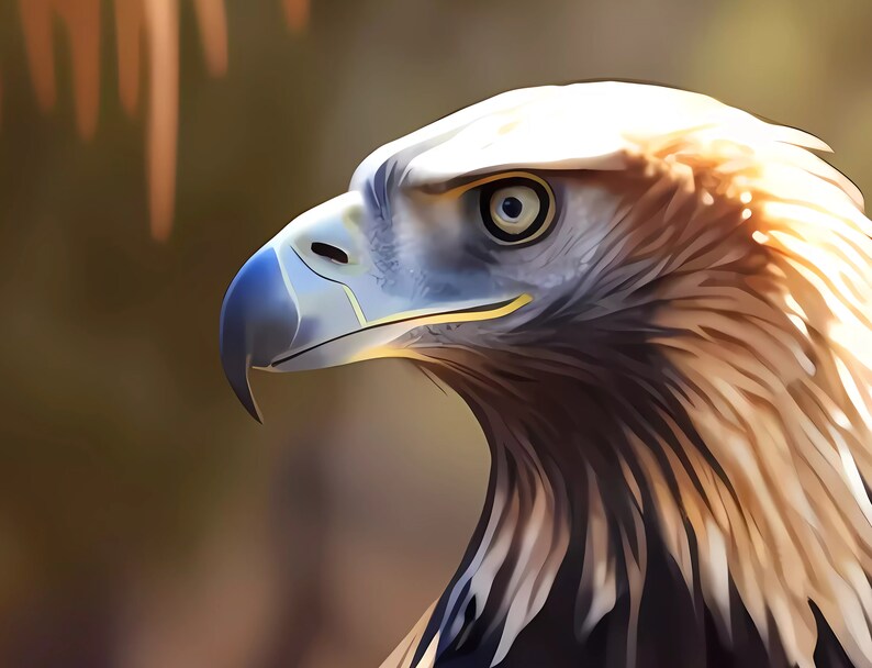 Majestic Wedge Tail Eagle #1 Digital Print - Etsy