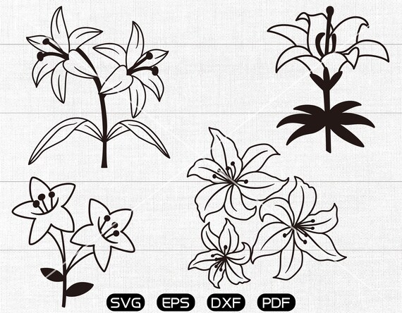 Download Lily SVG flower Clipart cricut silhouette cut files | Etsy