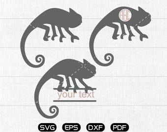 Chameleon Svg, Chameleon Clipart, Monogram Frame cricut, cameo, silhouette cut files commercial & personal use