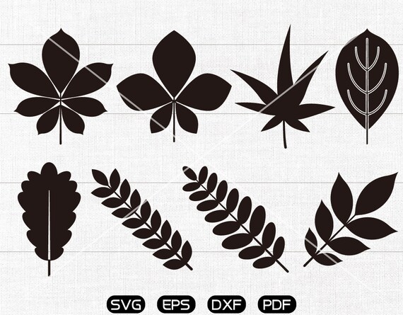 Download Free Leaf Svg Leaf Clipart Cricut Silhouette Cut Files Etsy SVG Cut Files