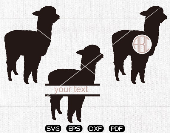 Download Free Alpaca Svg Alpaca Clipart Monogram Frame Cricut Cameo Etsy SVG Cut Files