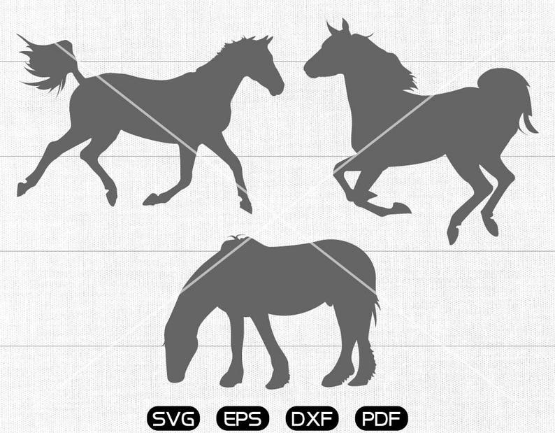 Download Ox F4mmxabhnum