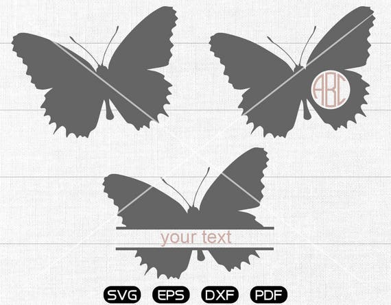 Free Free 167 Cute Butterfly Svg Free SVG PNG EPS DXF File