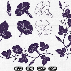 Garden SVG, Morning Glory svg, Beautiful Flower Clipart, cricut, silhouette cut files commercial use