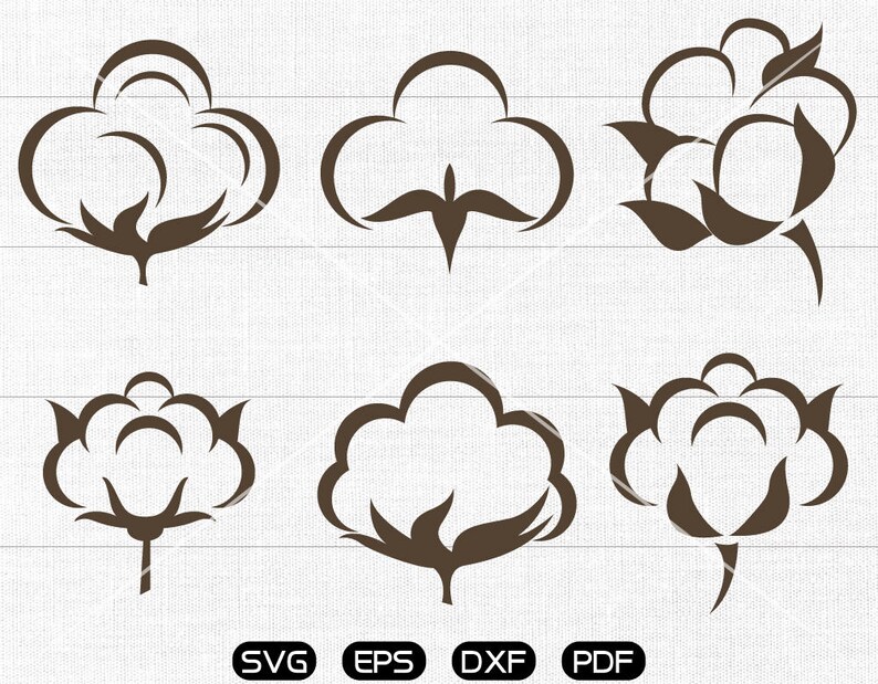 Cotton SVG Cotton Boll Clipart Cricut Silhouette Cut Files Etsy