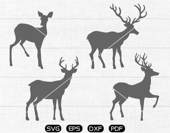 Download Clip Art Christmas Reindeer Svg Reindeer Clipart Monogram Frame Cricut Cameo Silhouette Cut Files Commercial Personal Use Art Collectibles