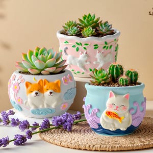 Può includere: Tre vasi decorativi in ceramica con piante grasse. I vasi sono bianchi, rosa e blu, con disegni in rilievo di corgi, gatti e pesci. Le piante sono verdi e i vasi sono su un tappetino intrecciato.