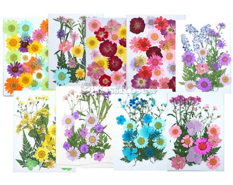 9 stili bellissimi fiori secchi-Fiori secchi per stampi per vassoi in silicone-Fiori secchi colorati per stampi in resina-Riempitivi artigianali in resina epossidica
