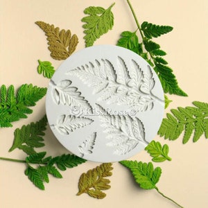 May include: A white silicone mold with fern leaf impressions, surrounded by various green and brown fern leaves. The mold has the text "KissRose" on it. The leaves vary in shades of green and brown.