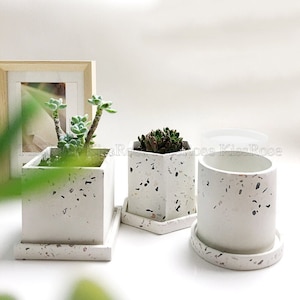 May include: Three white terrazzo planters with different shapes and sizes. The planters are filled with small green succulents. The planters are on a white surface.