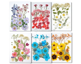 6 styles beautiful dried flowers-Dried flowers for silicone tray mold-Color dried flowers for resin molds-Epoxy resin craft fillers