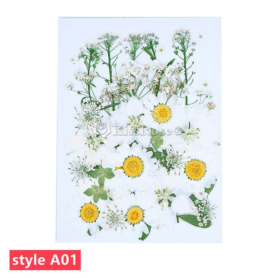 6 Styles Beautiful Dried Flowers-dried Flowers for Silicone Tray Mold-color Dried  Flowers for Resin Molds-epoxy Resin Craft Fillers 