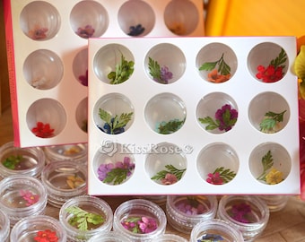 2 styles Mini Dried Flowers for resin craft DIY-Silicone mold filler-Resin molds filler-Resin craft Accessories-Multiple colors flowers