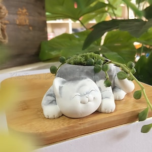Cute cat flower pot silicone mold-Concrete flowerpot mold-Succulent Plants Cement Clay Pot Molds-Smiley cat Plaster Gypsum Mold