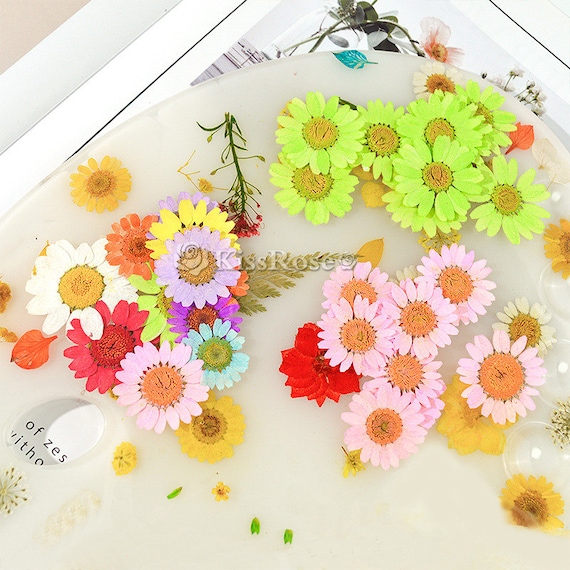 11 Styles Beautiful Dried Flowers-dyed Daisy for Silicone Mold-color Dried  Flowers for Resin Molds-flower Fillers for Epoxy Resin Craft -  Denmark