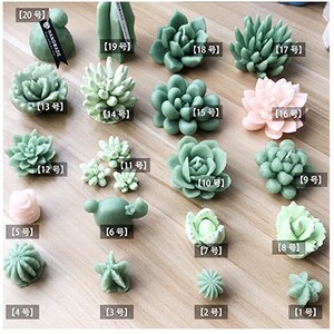 Succulent Mold Plant Silicone Mold 3D Succulent Candle mold Resin Succulent Plant Mold Succulent Fondant mold plaster mold Chocolate Mold image 2