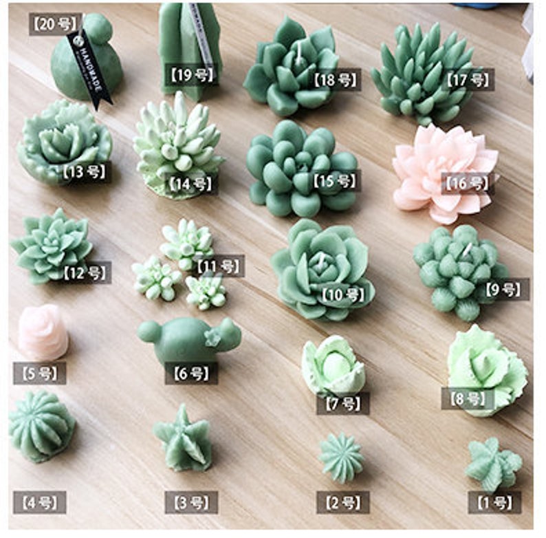 Succulent Mold Plant Silicone Mold 3D Succulent Candle mold Resin Succulent Plant Mold Succulent Fondant mold plaster mold Chocolate Mold image 2