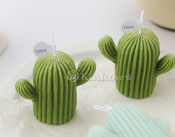 monstera in hydrokultur Hydro Monstera Monkey  Green Me Up