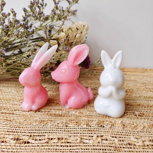 3 Styles Rabbit Silicone Mold-jackrabbit Resin Mold-cute Easter Bunny ...