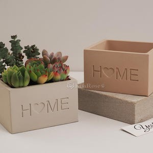 Könnte beinhalten: Zwei Beton-Pflanzer mit dem Wort "HOME" und einem eingegrabenen Herzen. Ein Pflanzer ist beige und der andere hellgrau. Der graue Pflanzer hat verschiedene Sukkulenten darin.