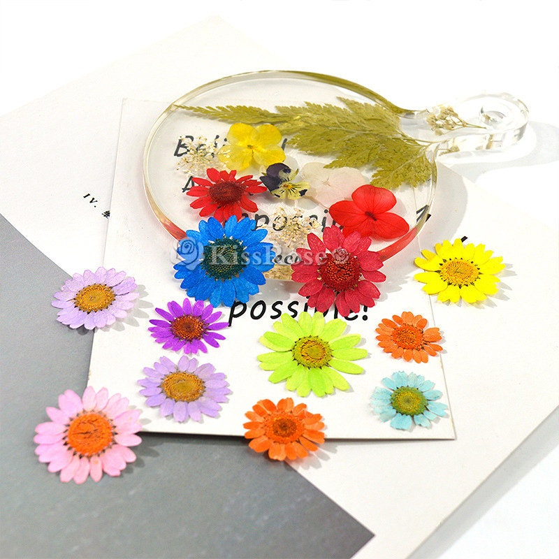 11 Styles Beautiful Dried Flowers-dyed Daisy for Silicone Mold