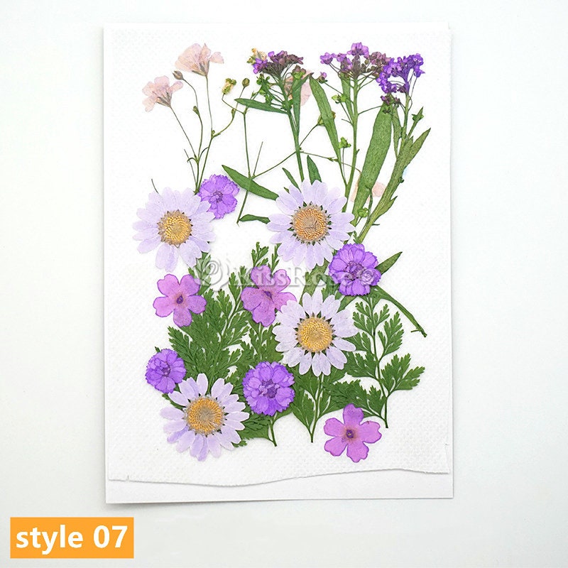9 Styles Beautiful Dried Flowers-dried Flowers for Silicone Tray