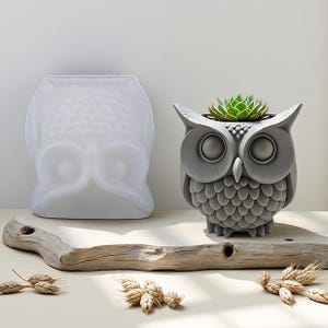 May include: A gray owl-shaped planter with a succulent plant and a white owl-shaped mold. The planter has large, round eyes and a textured surface. The mold is smooth and translucent. The items are on a wooden board.