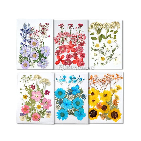 6 Styles Beautiful Dried Flowers-dried Flowers for Silicone Tray Mold-color Dried  Flowers for Resin Molds-epoxy Resin Craft Fillers 