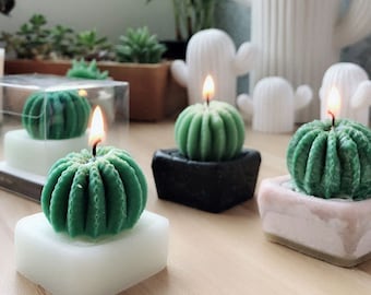 3D Cactus candle Mold-Succulent plants molds-Silicone Mold for candle making-3D Succulent Candle moulds-Cactus plaster mold-Fondant molds