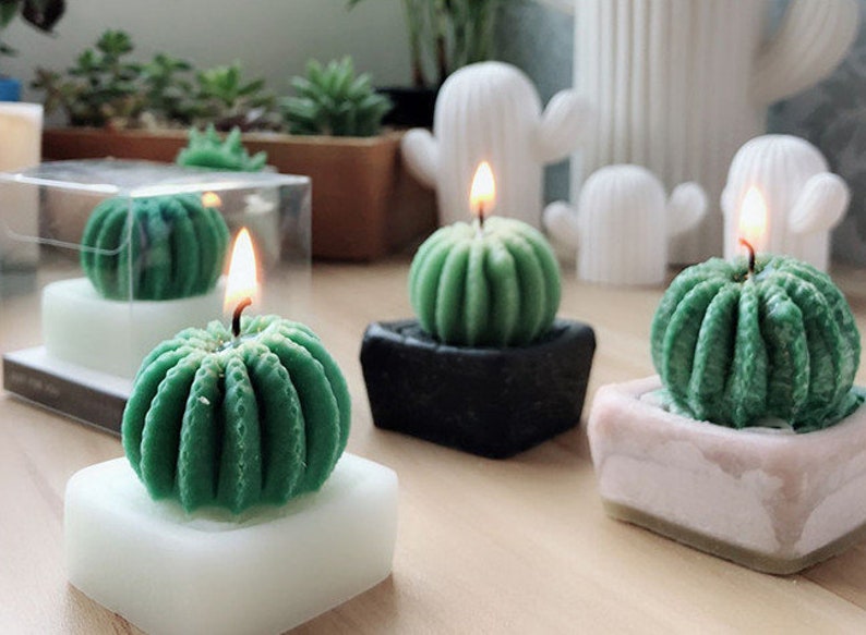 3D Cactus Candle Moldsucculent Plants Moldssilicone Mold for Etsy