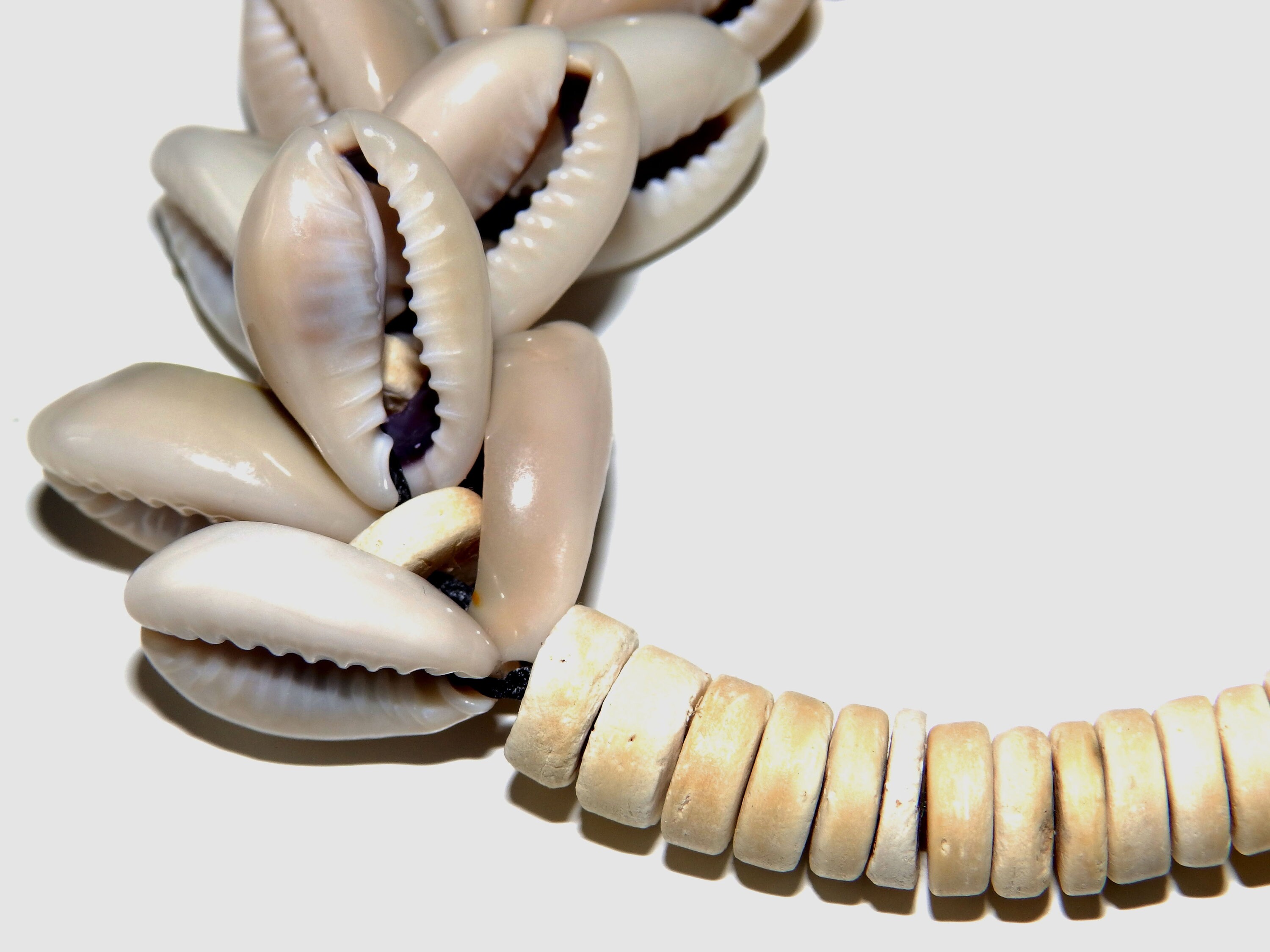 BRACELET of Cowrie Shell Beads and Coconut Beads. Macrame - Etsy
