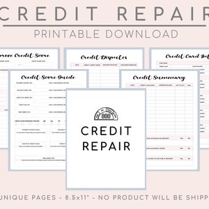 Credit Repair Guide, DIY Credit Repair, Credit Repair Planner Kit, Personal or Business, Pink