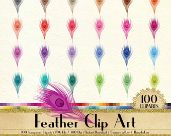 100 Feather Clipart, Valentine Clipart, 100 PNG Clipart, Planner Clipart, 100 Feather Clip Art, Wedding Clip art