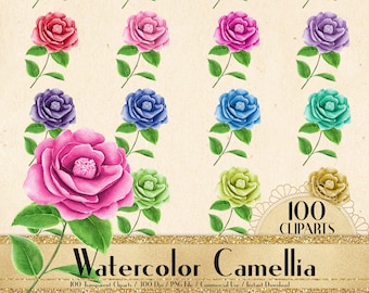 100 Watercolor Camellia Flower Clipart, Flower Clipart, Watercolor Clipart, Planner Clipart, Floral clipart, Garden Clipart, Bridal Shower