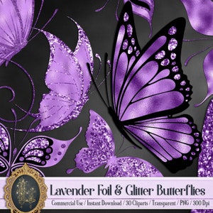 30 Folha Roxa Lavanda e Borboleta Glitter Imagem PNG Fundo Transparente Isolado Uso Comercial Cartão de Casamento Fazendo Borboleta Voadora