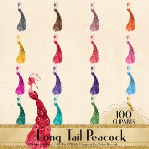 100 Peacock Cliparts, Long Tail Peacock, Uso commerciale, Planner Clipart, Digital Peacock, Matrimonio di lusso, Matrimonio Peacock, Decorazione Peacock